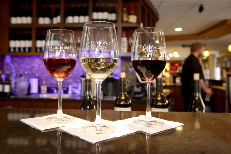 Cross Plains, Wisconsin Homes for Sale & Real Estate