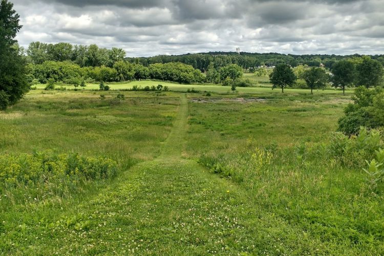 Madison, WI Homes for Sale | Madison Realtors